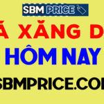giaxangsbmprice