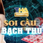 soicaubachthu1
